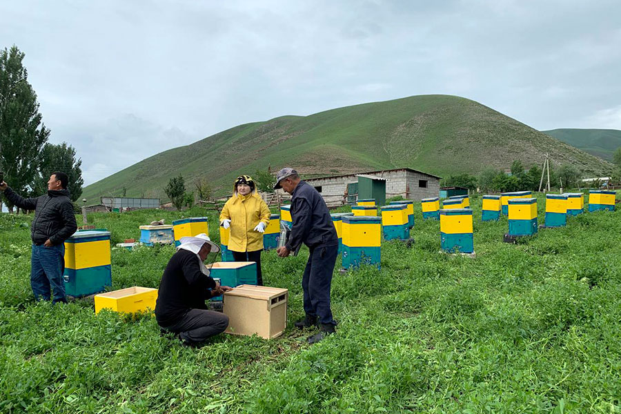 Пчеловодство в рамках проекта Исчезающие Сокровища